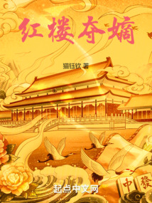 The Succession Struggle in the Dream of the Red Chamber